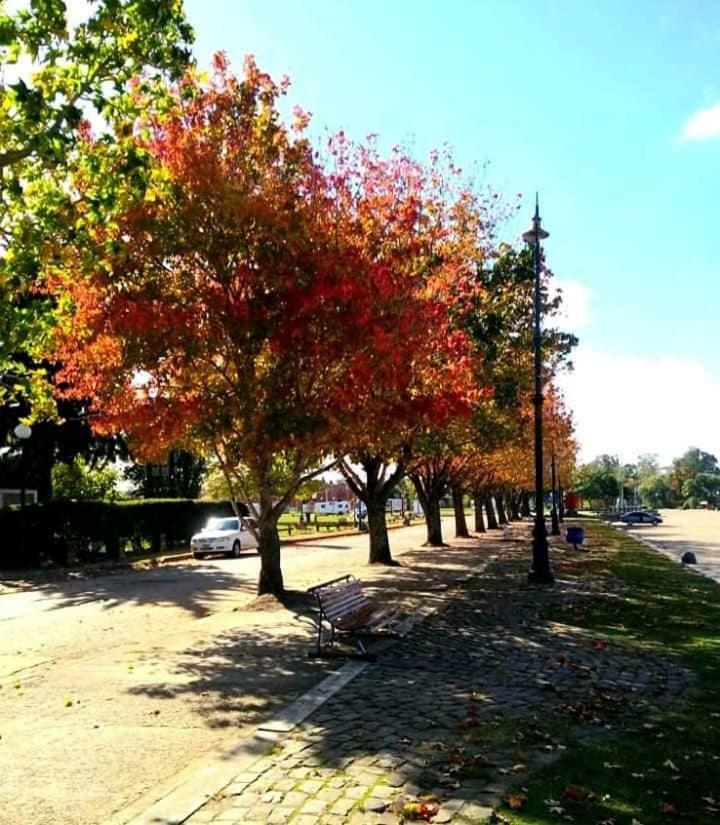 Hotel Berlin Gualeguaychú المظهر الخارجي الصورة